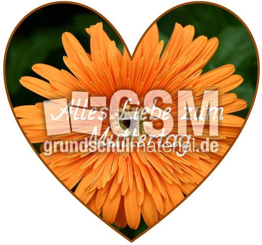 Herz-Foto-Muttertag_20.jpg